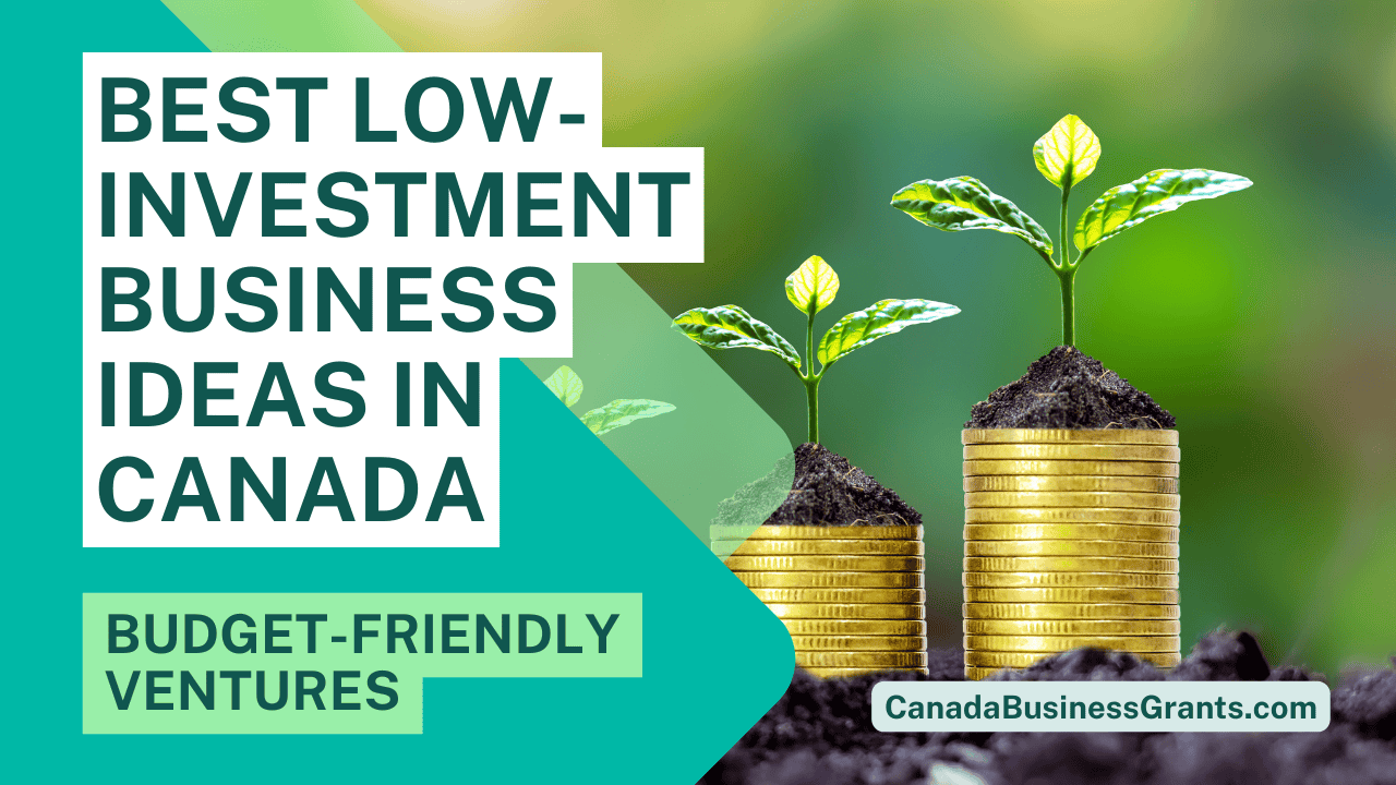 Budget-Friendly Ventures: 17 Best Low-investment Business Ideas in